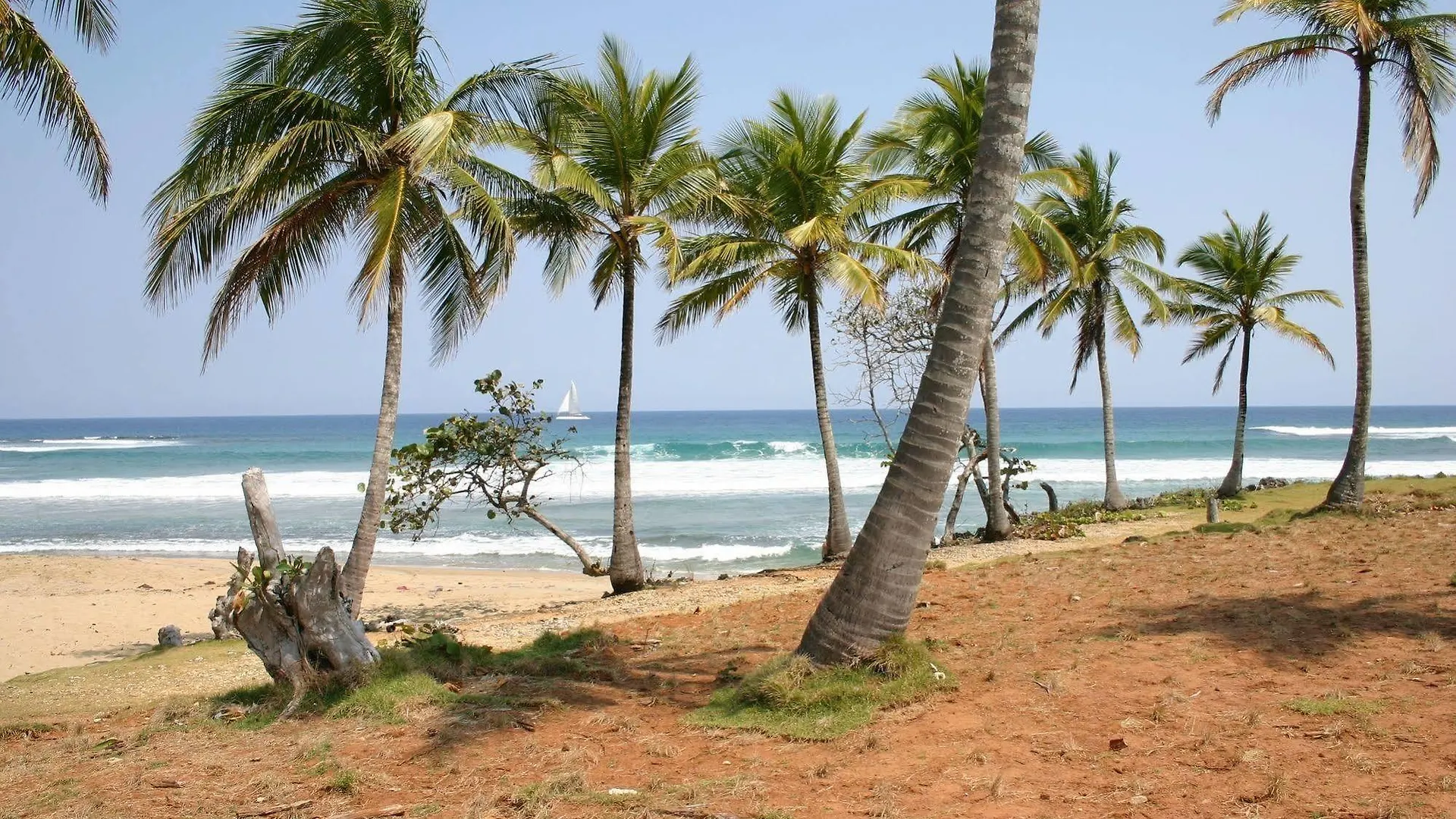 Hostel Slabdr Coliving, Once Surf Salvacion Cabarete Dominikana