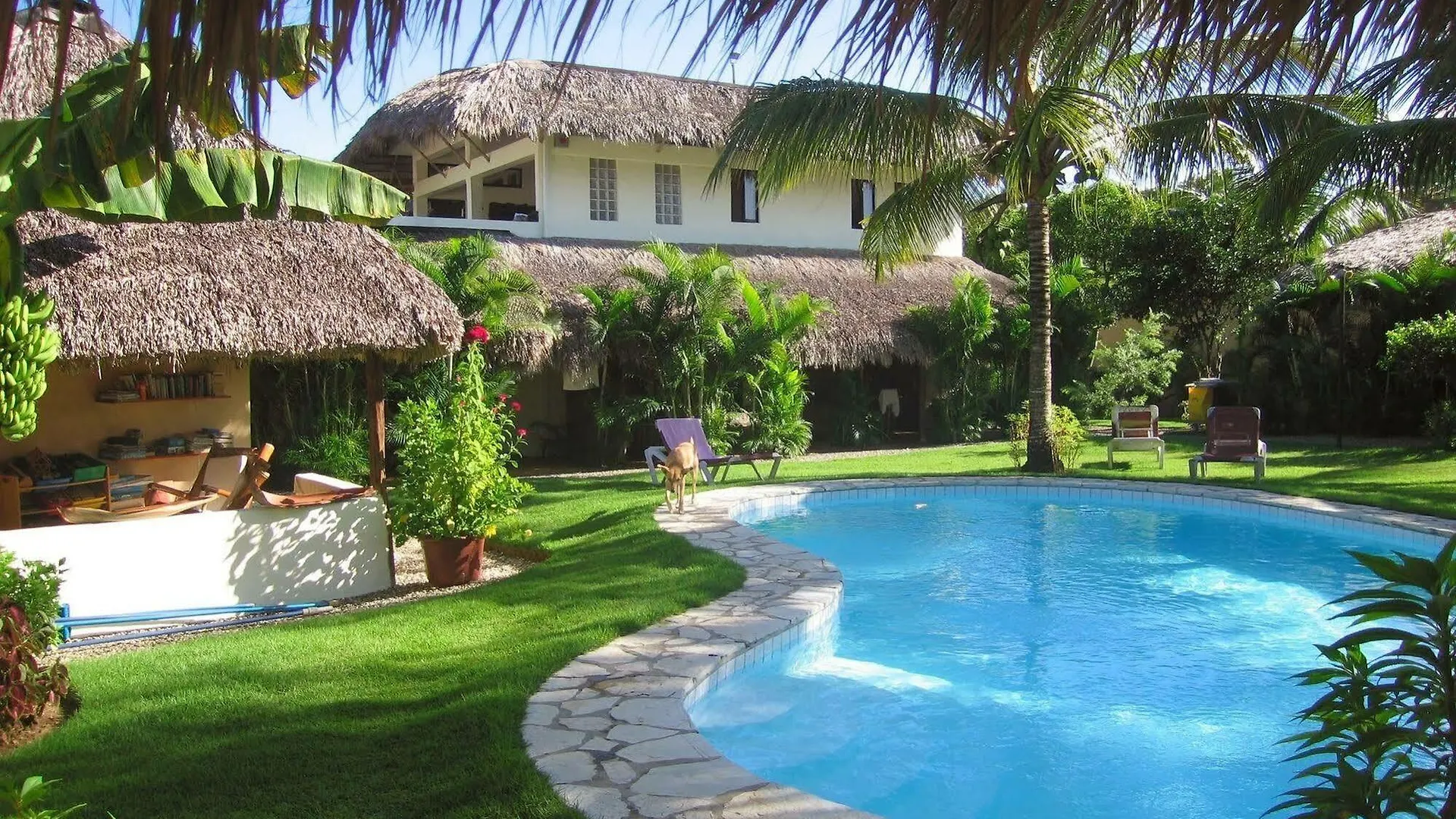 Hostel Slabdr Coliving, Once Surf Salvacion Cabarete